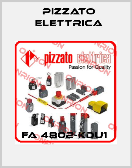FA 4802-KDU1  Pizzato Elettrica
