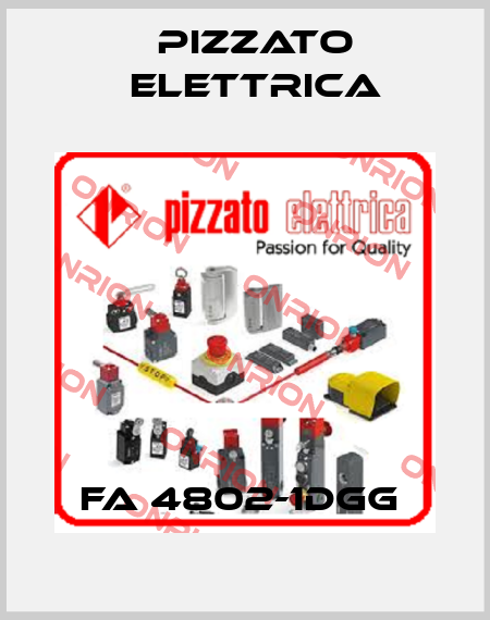 FA 4802-1DGG  Pizzato Elettrica