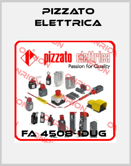 FA 4508-1DUG  Pizzato Elettrica