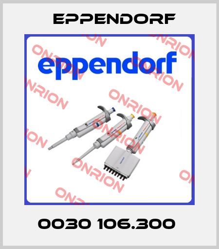 0030 106.300  Eppendorf