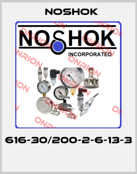616-30/200-2-6-13-3  Noshok
