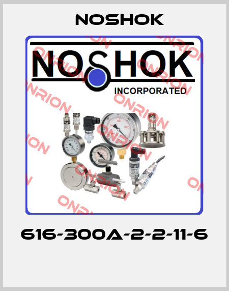 616-300A-2-2-11-6  Noshok