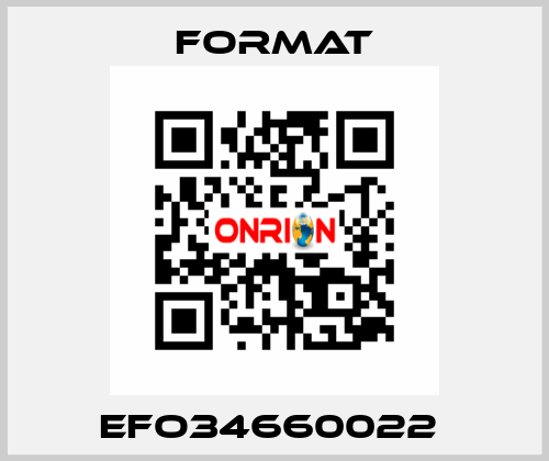 EFO34660022  Format