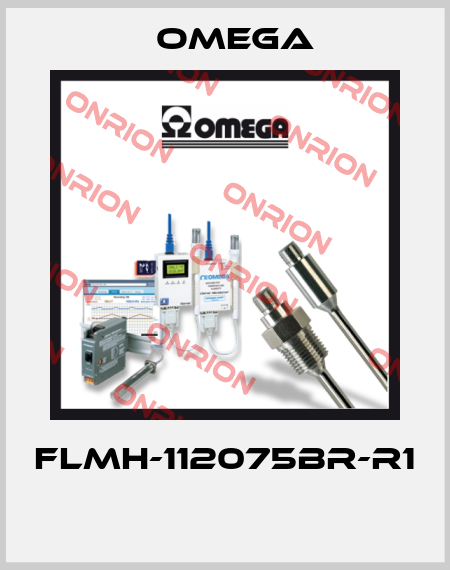 FLMH-112075BR-R1  Omega