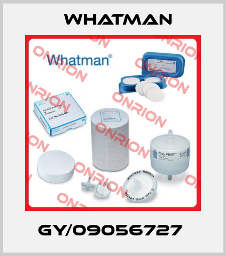 GY/09056727  Whatman