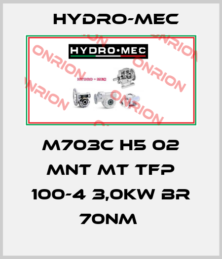 M703C H5 02 MNT MT TFP 100-4 3,0kW BR 70Nm  Hydro-Mec