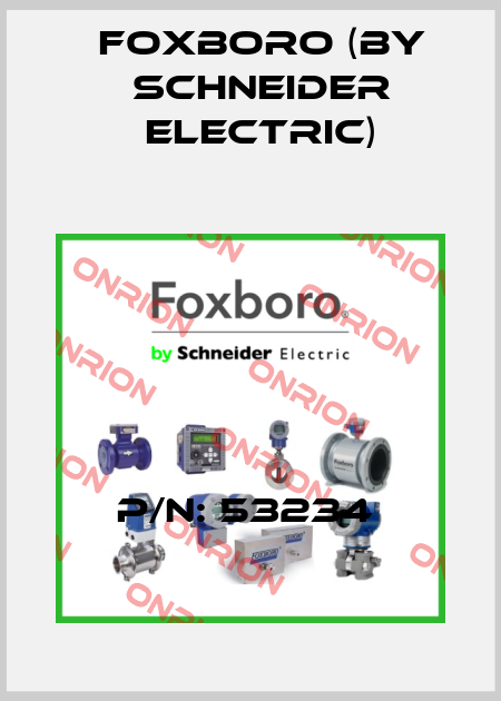P/N: 53234  Foxboro (by Schneider Electric)