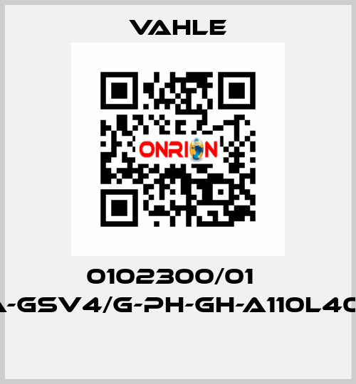 0102300/01    SA-GSV4/G-PH-GH-A110L40-16  Vahle