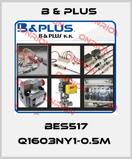 BES517 Q1603NY1-0.5M  B & PLUS