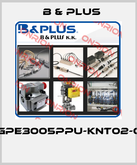 RGPE3005PPU-KNT02-02  B & PLUS