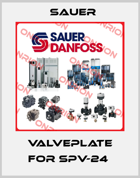 Valveplate for SPV-24  Sauer
