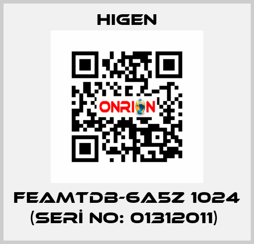 FEAMTDB-6A5Z 1024 (SERİ NO: 01312011)  Higen