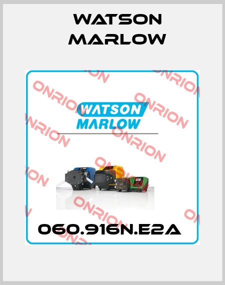 060.916N.E2A  Watson Marlow