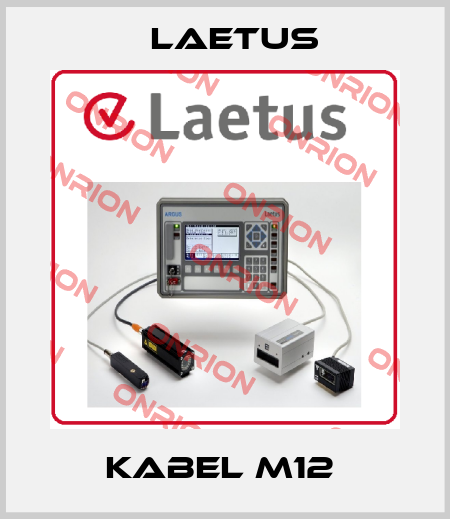 Kabel M12  Laetus