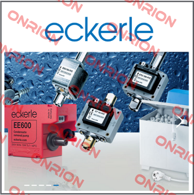 EIPH6-100RK23-1x  Eckerle