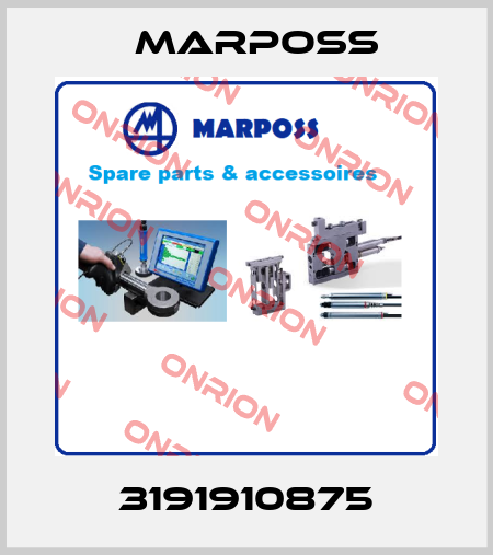 3191910875 Marposs