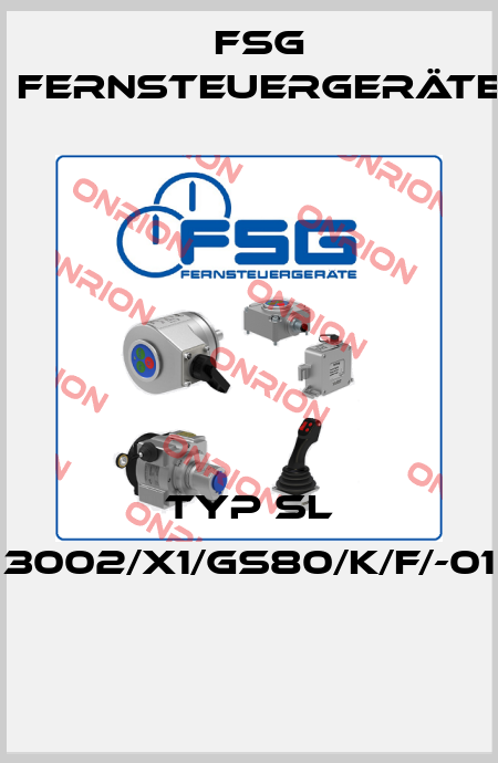 Typ SL 3002/X1/GS80/K/F/-01   FSG Fernsteuergeräte