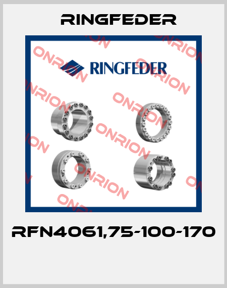 RfN4061,75-100-170  Ringfeder
