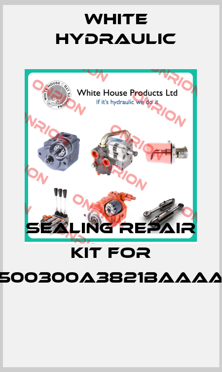 Sealing repair kit for 500300A3821BAAAA  White Hydraulic