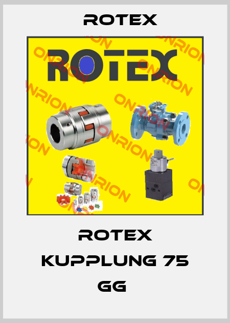ROTEX Kupplung 75 GG  Rotex