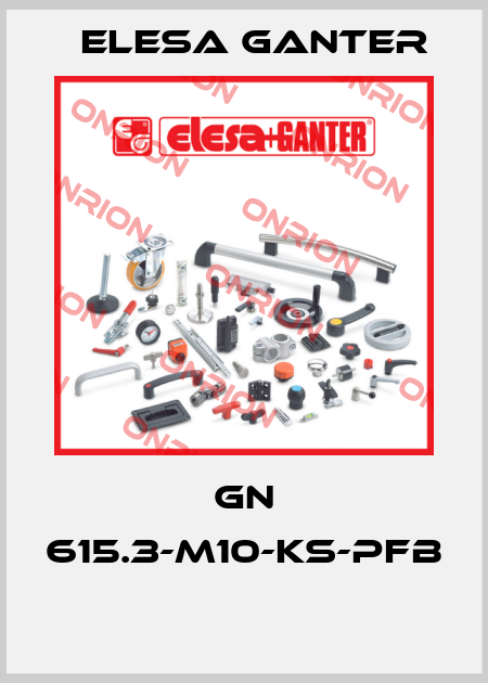 GN 615.3-M10-KS-PFB  Elesa Ganter