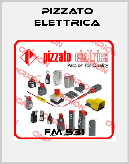 FM 531 Pizzato Elettrica