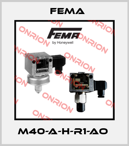 M40-A-H-R1-AO  FEMA