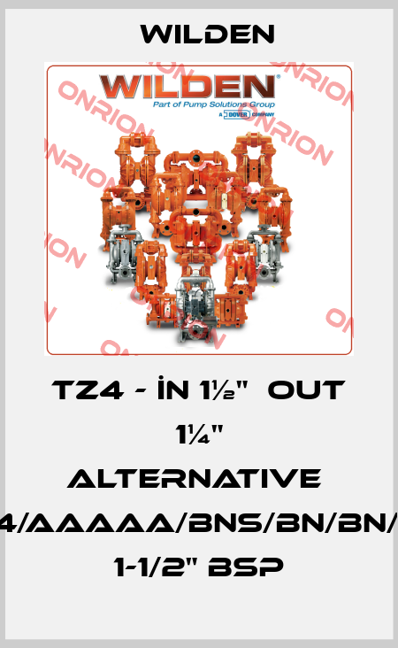 TZ4 - İN 1½"  OUT 1¼" alternative  XPS4/AAAAA/BNS/BN/BN/0014 1-1/2" BSP Wilden