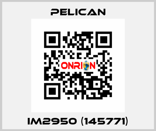 iM2950 (145771) Pelican