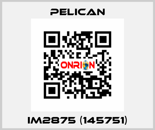 iM2875 (145751) Pelican