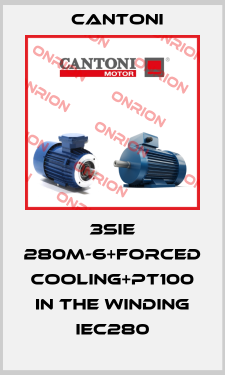 3SIE 280M-6+Forced cooling+PT100 in the winding IEC280 Cantoni