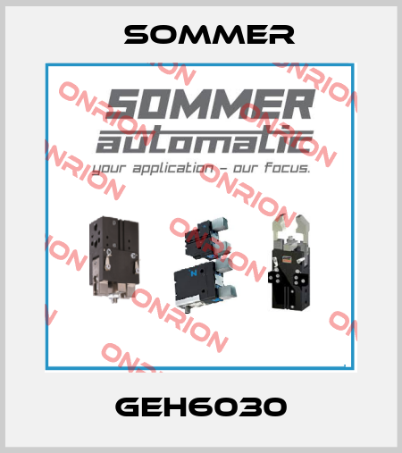 GEH6030 Sommer