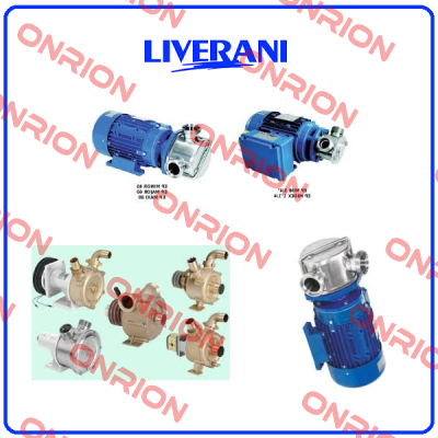 MOTOR FOR HBL30/2 A  Liverani