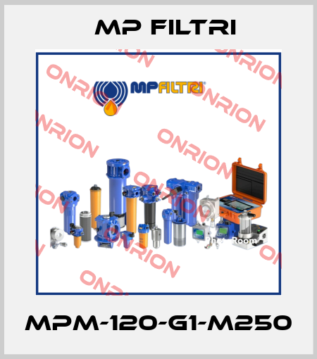 MPM-120-G1-M250 MP Filtri