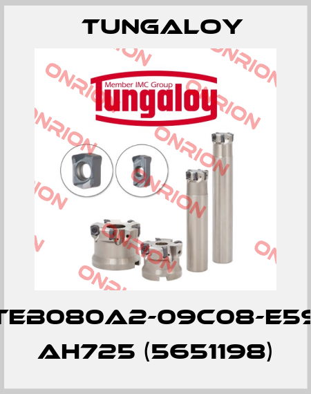 TEB080A2-09C08-E59 AH725 (5651198) Tungaloy
