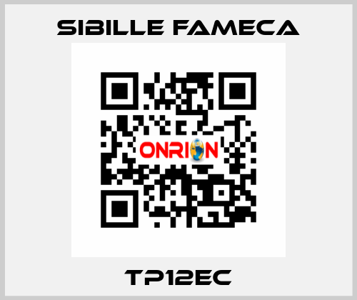 TP12EC Sibille Fameca