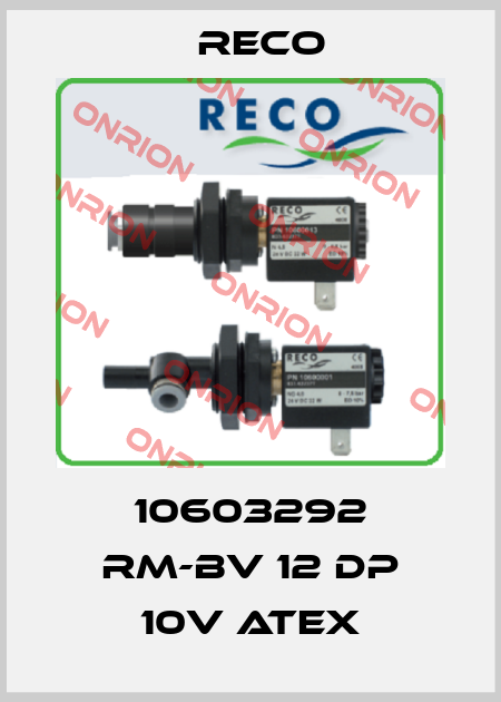 10603292 RM-BV 12 DP 10V ATEX Reco