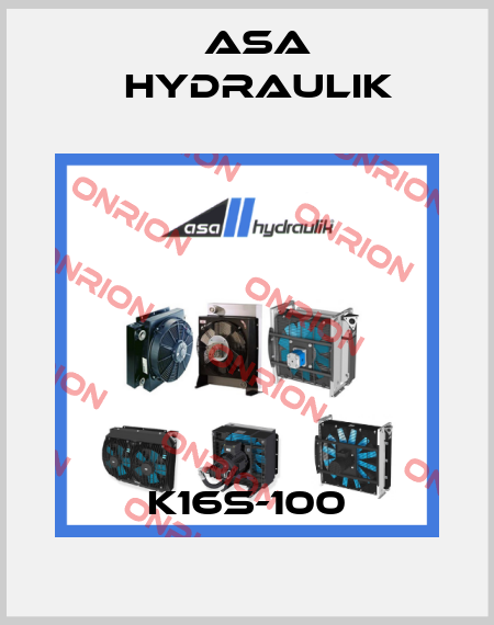 K16S-100 ASA Hydraulik
