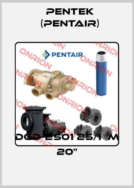 DGD-2501 25/1µm 20" Pentek (Pentair)