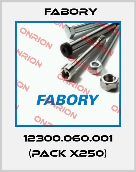 12300.060.001 (pack x250) Fabory