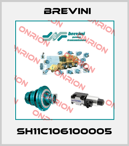 SH11C106100005 Brevini