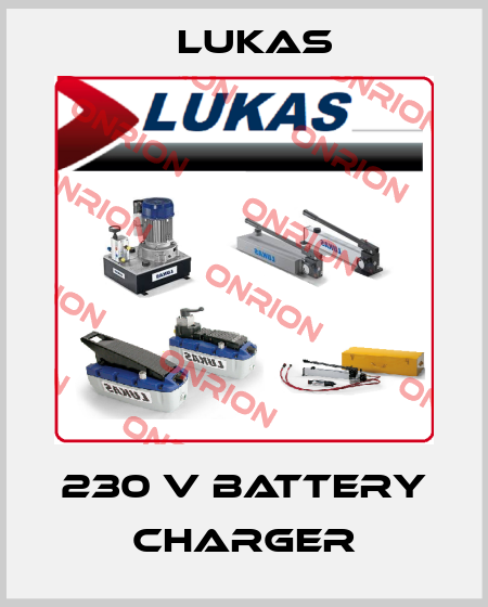 230 V battery charger Lukas