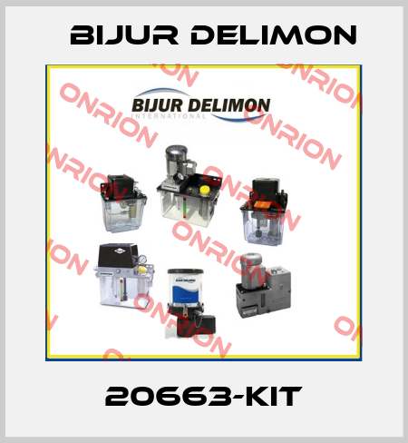 20663-KIT Bijur Delimon
