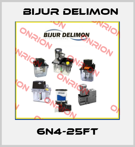 6N4-25FT Bijur Delimon