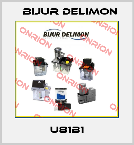 U81B1 Bijur Delimon