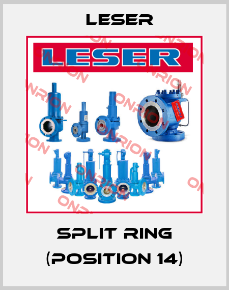 Split ring (position 14) Leser