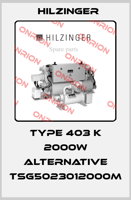 Type 403 K 2000W alternative TSG5023012000M Hilzinger