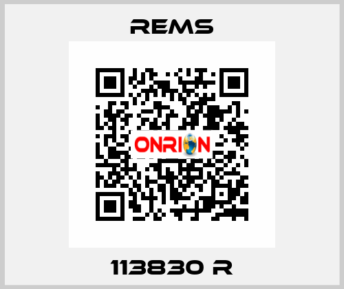 113830 R Rems