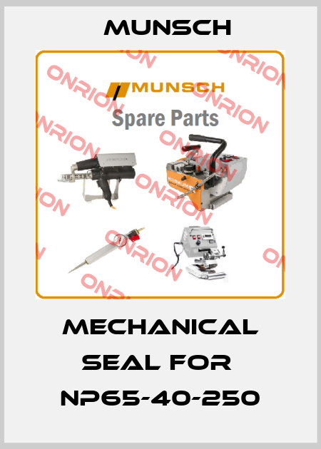 Mechanical Seal for  NP65-40-250 Munsch