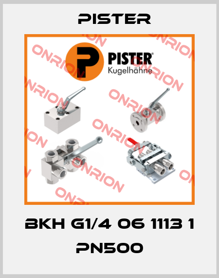 BKH G1/4 06 1113 1 PN500 Pister